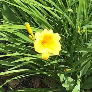 Meet your Posher, Ang